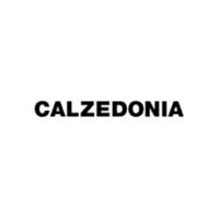 Cupón descuento de 50% en Calzedonia